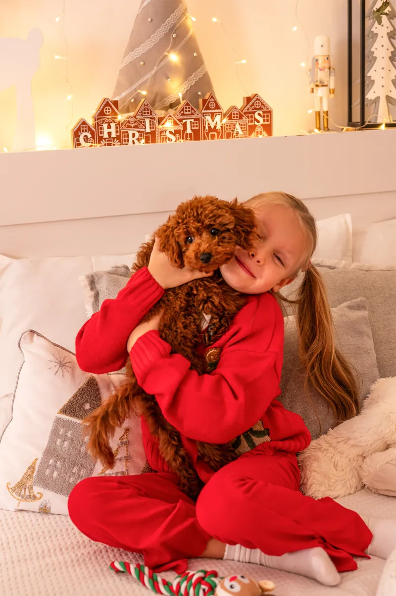 dziewczynka w czerwonym dresie przytula pudla na łóżku, nad nimi napis Christmas z domków i figurka dziadka do orzechów